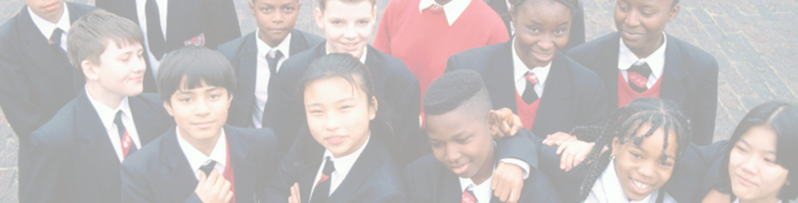 We provide services to schools and organisations